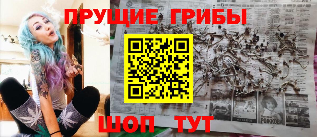 Галлюциногенные грибы мухоморы Кольчугино